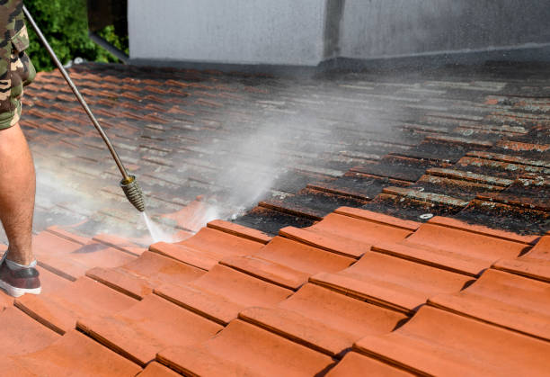  Palm Harbor, FL Pressure Washing Pros