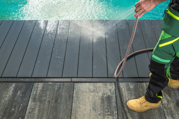 Best Affordable Power Washing  in Palm Harbor, FL