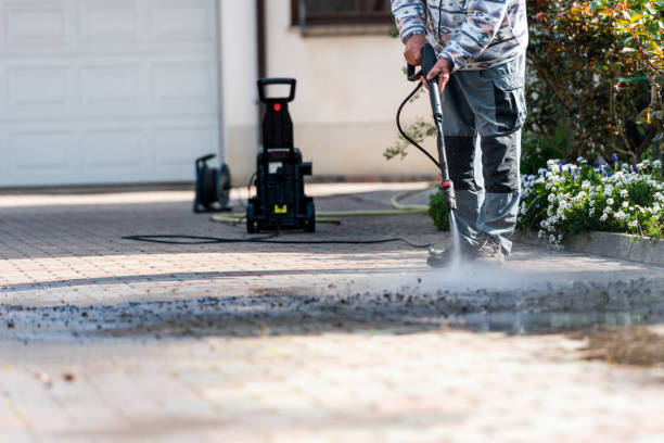 Best House Pressure Washing  in Palm Harbor, FL