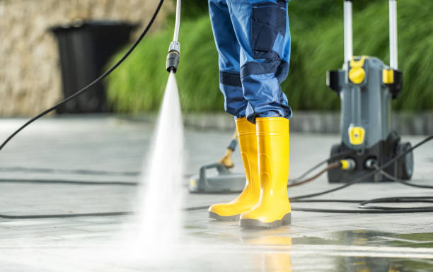 Best Roof Power Washing Services  in Palm Harbor, FL