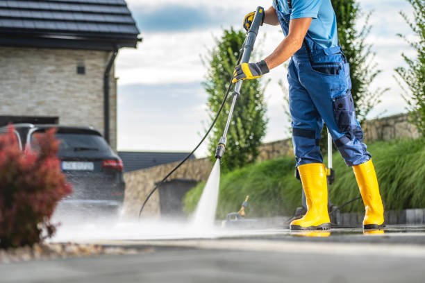 Best Pressure Washing Contractors  in Palm Harbor, FL