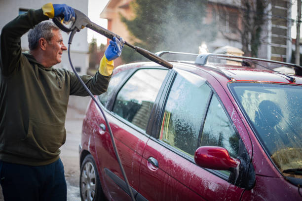 Best Roof Pressure Washing  in Palm Harbor, FL