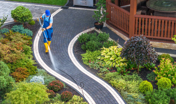 Best Residential Pressure Washing Services  in Palm Harbor, FL