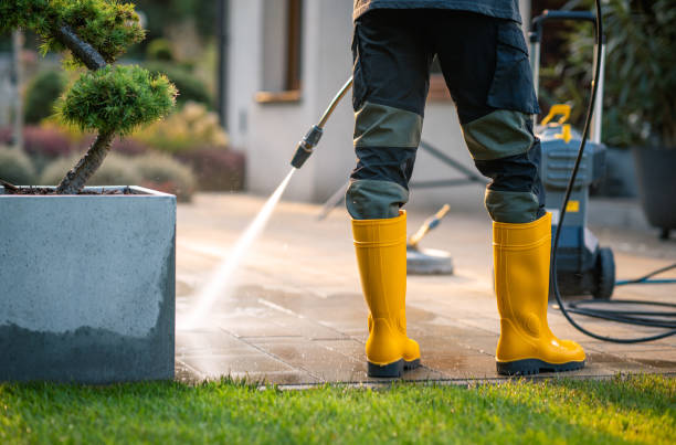 Best Fence Pressure Washing  in Palm Harbor, FL